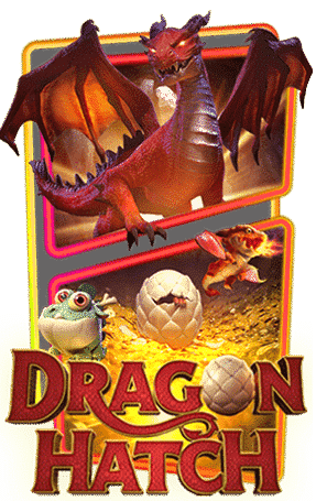 dragon hatch
