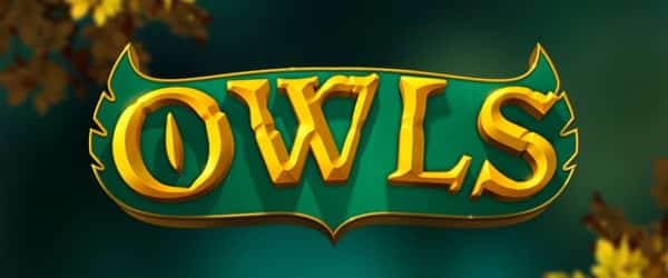 owls