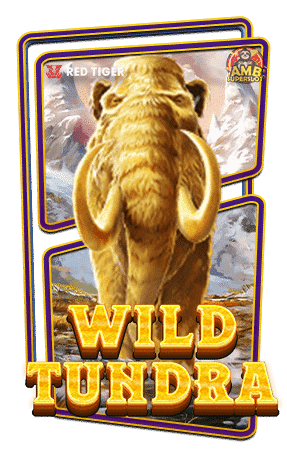 ทดลองเล่นสล็อต-Wild-Tundra