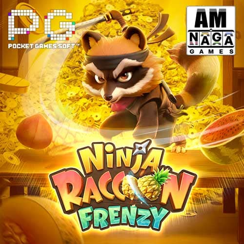 Ninja Raccoon Frenzy